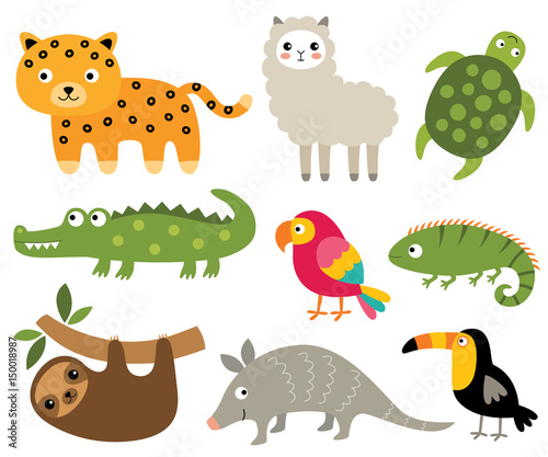 South American animals vector set
