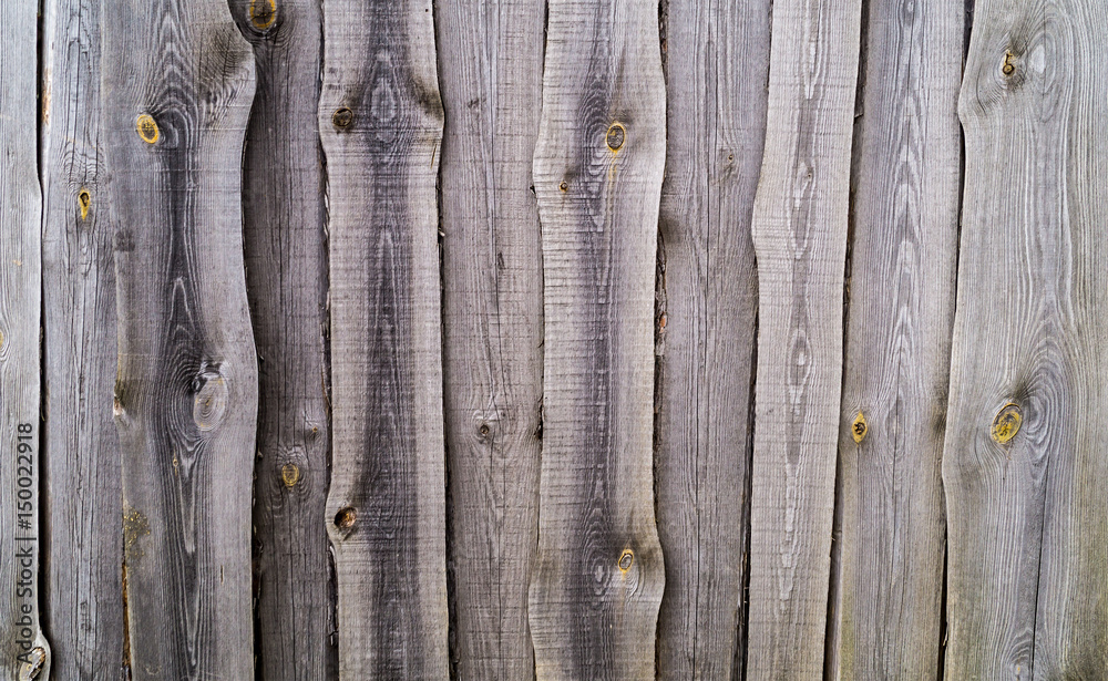 Obraz premium The old board