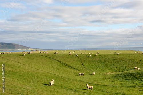 New Zealand - road of Te Anau to Dunedin