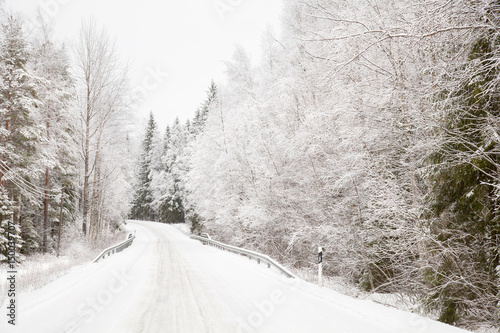 Snow landscape, Tammela, Forssa, Finland photo