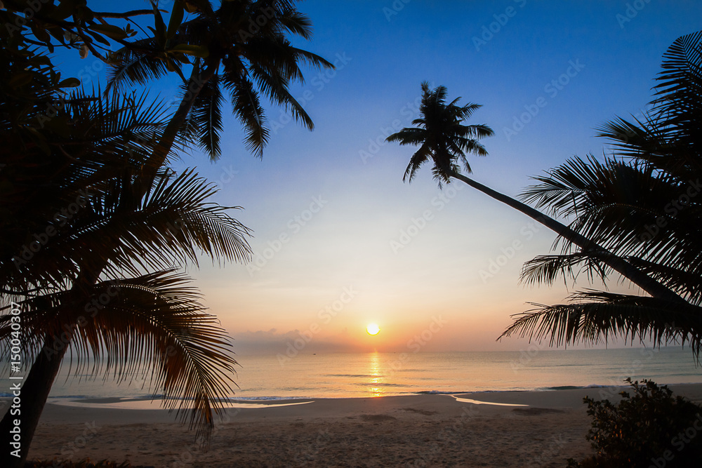 Silhouette of coconut tree slope down to the beach on sunrise background, Chumporn province,  south of Thailand