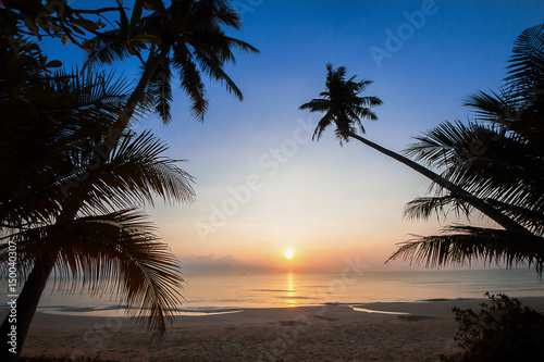 Silhouette of coconut tree slope down to the beach on sunrise background, Chumporn province, south of Thailand