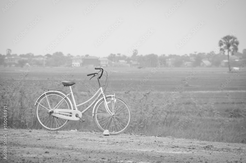 Obraz premium Bicycle by the road