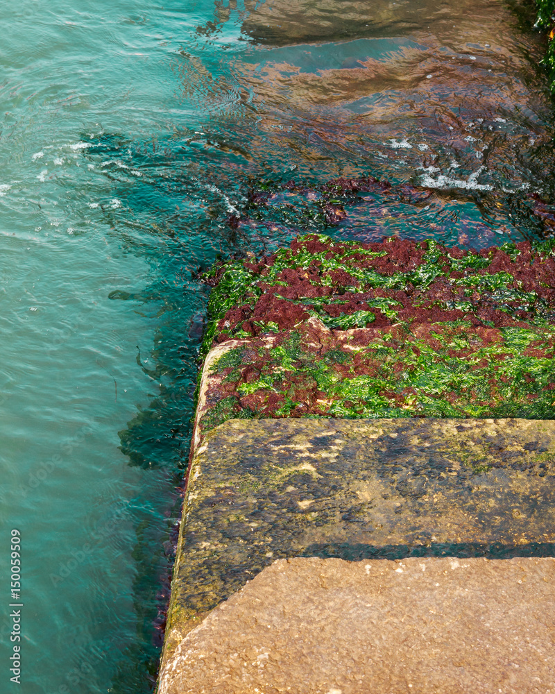 Steps covered in green algae leading down into the sea / water.