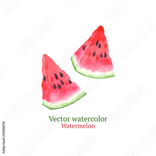 Watercolor vector watermelon