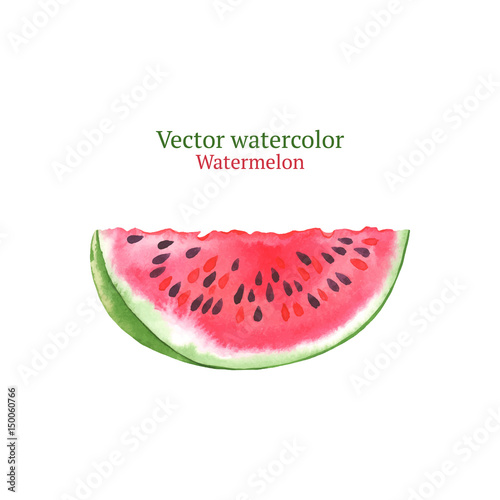 Watercolor vector watermelon