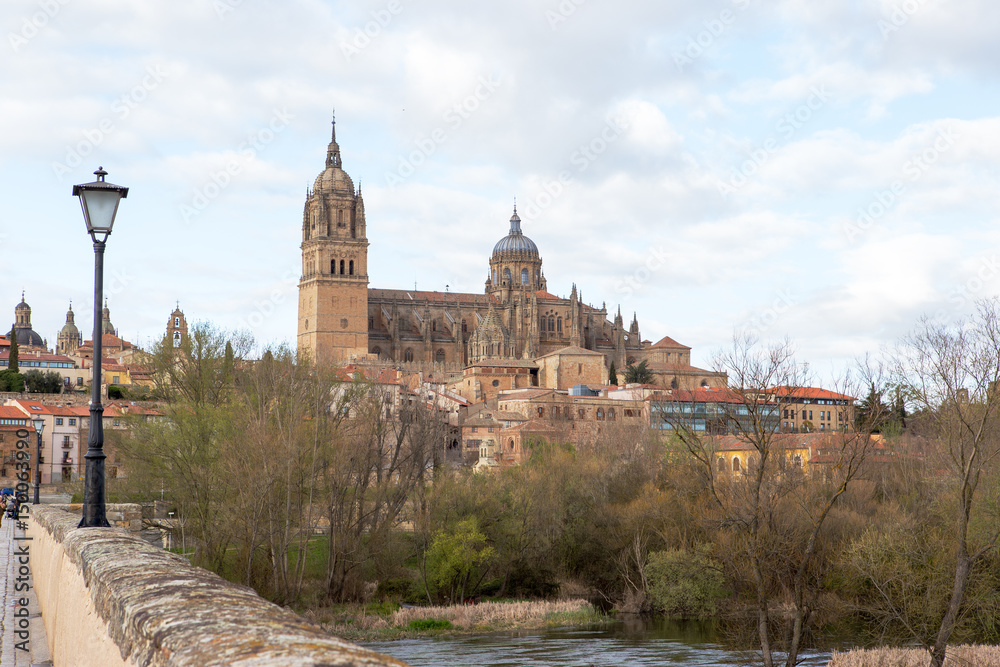 New Cathedral and Roman Bridge, Salamanca, Spain
