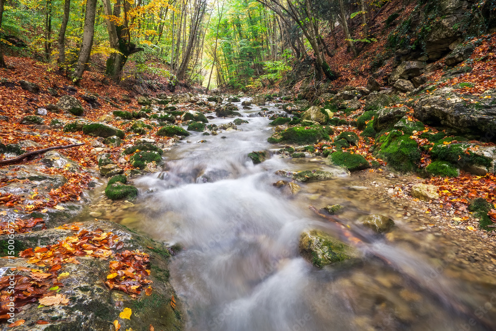 Beautiful autumn landscape with mountain river and colorful trees. Mountain forest Beautiful autumn landscape with mountain river and colorful trees. Mountain forest