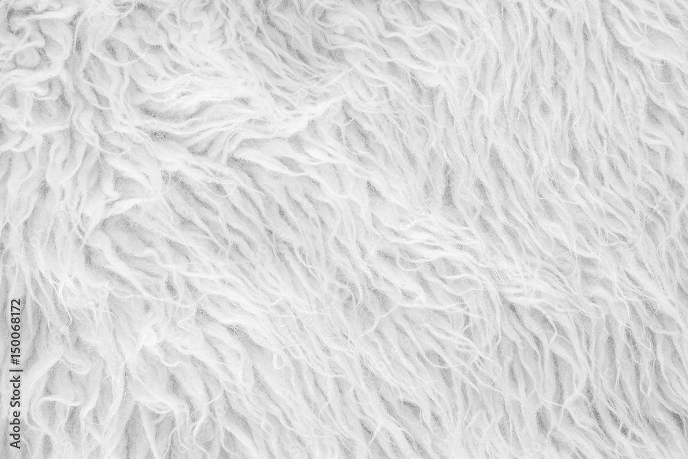 Obraz premium Wool close-up background