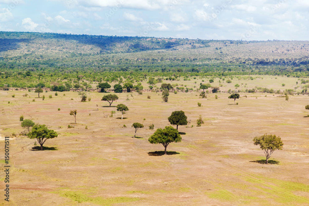 view to maasai mara savannah landscape in africa
