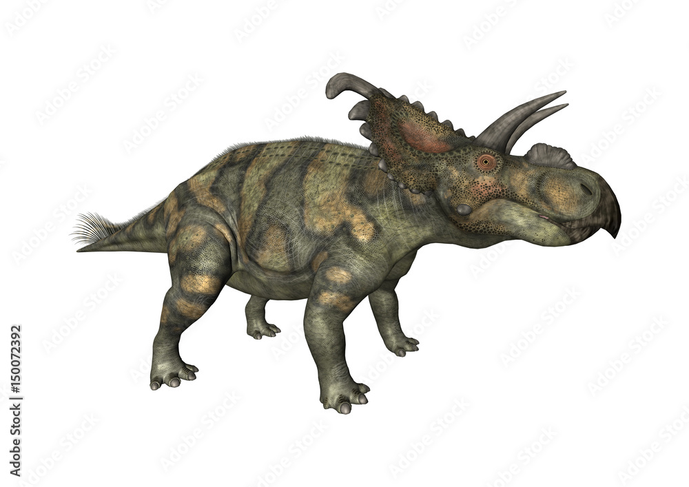3D Rendering Dinosaur Albertaceratops on White 3D Rendering Dinosaur Albertaceratops on White