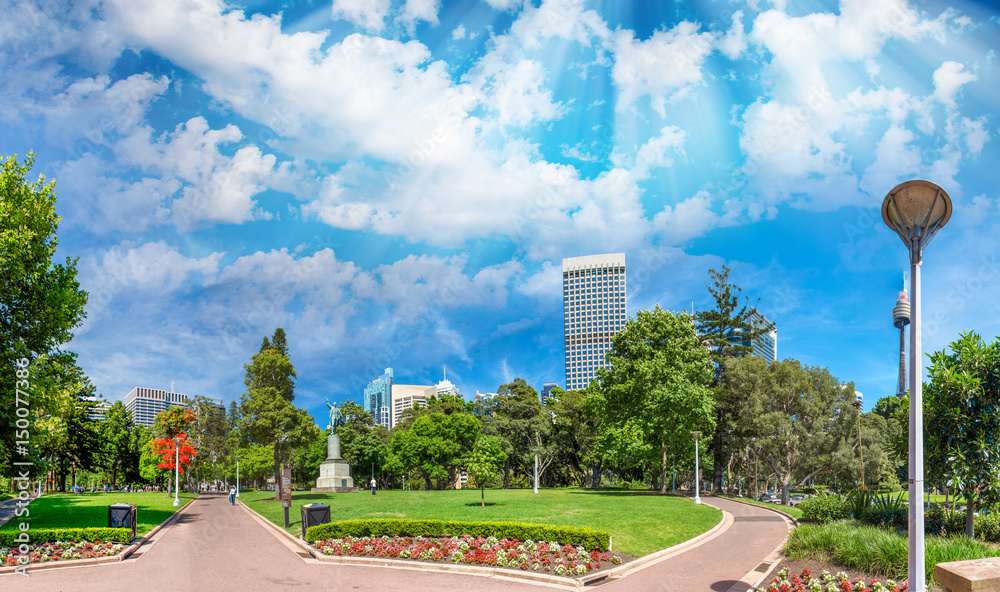Naklejka premium Sydney at sunset. Beautiful view of Hyde Park