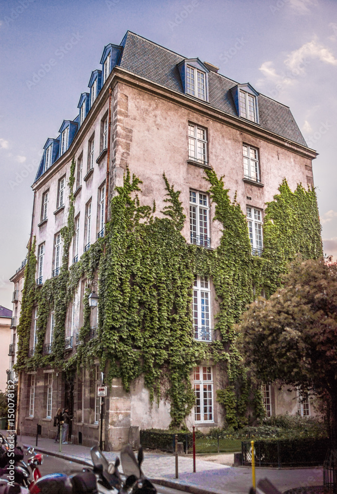 Elegant house in Paris