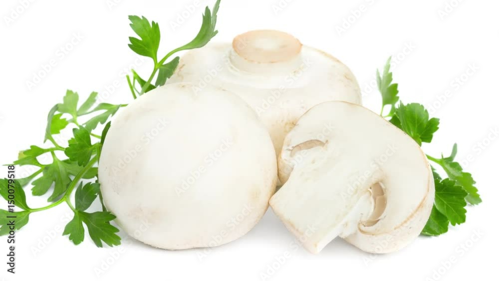 mushrooms on white background intro motion slow mushrooms on white background intro motion slow