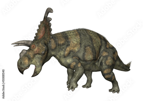 3D Rendering Dinosaur Albertaceratops on White