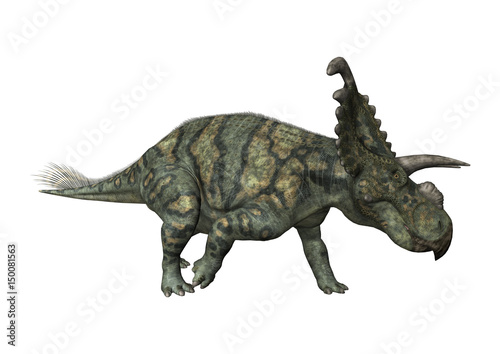 3D Rendering Dinosaur Albertaceratops on White