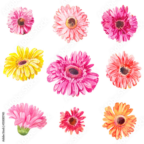 Set of pink and yellow gerbera's heads