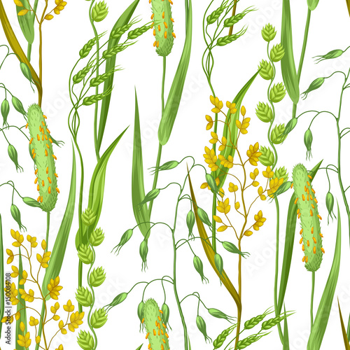 Seamless pattern with herbs and cereal grass. Floral ornament of meadow plants