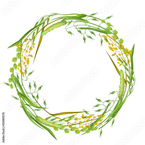 Wreath with herbs and cereal grass. Floral design of meadow plants