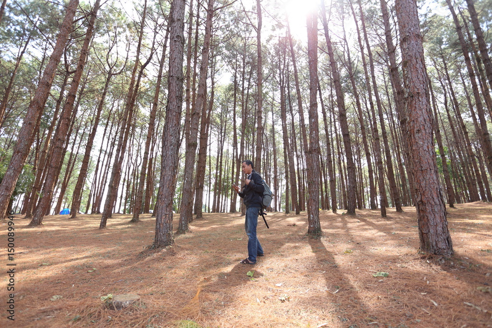 Man stand and Pine forest in Phu Hin Rong Kla National Park, thailand Man stand and Pine forest in Phu Hin Rong Kla National Park, thailand