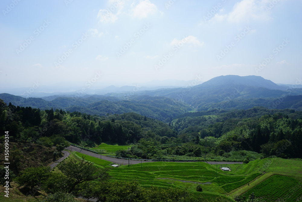  Rice terraces and range of mountains