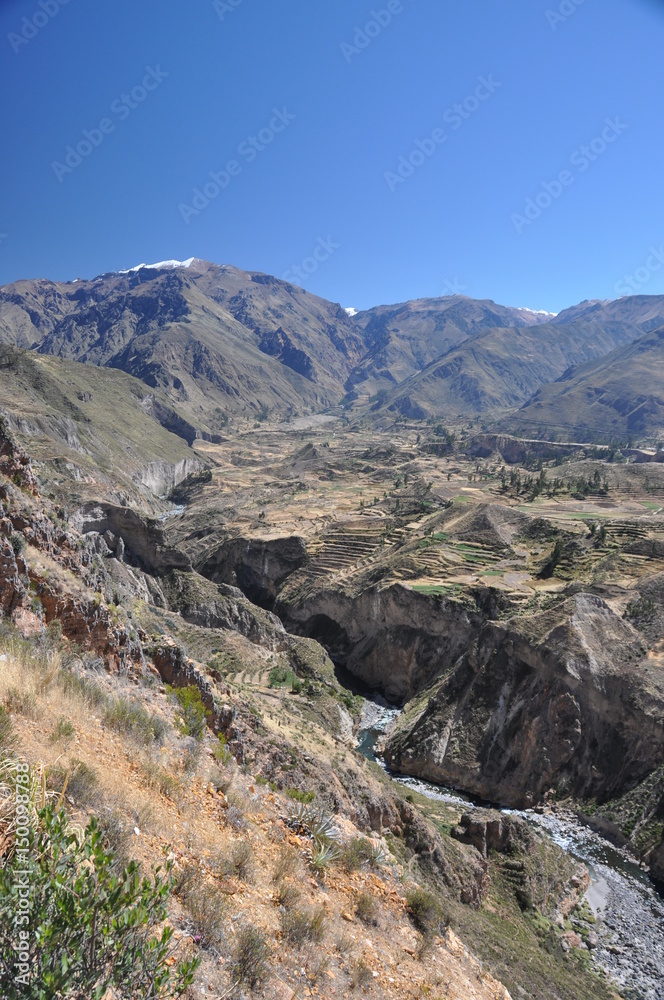 Fototapeta premium Peru - Aréquipa - Canyon Colca
