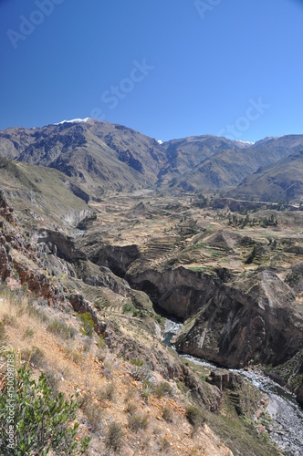 Peru - Aréquipa - Canyon Colca