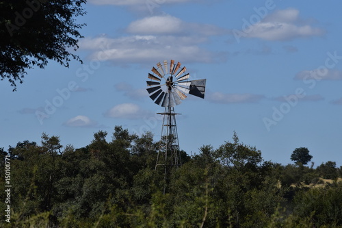 Windmill in bush