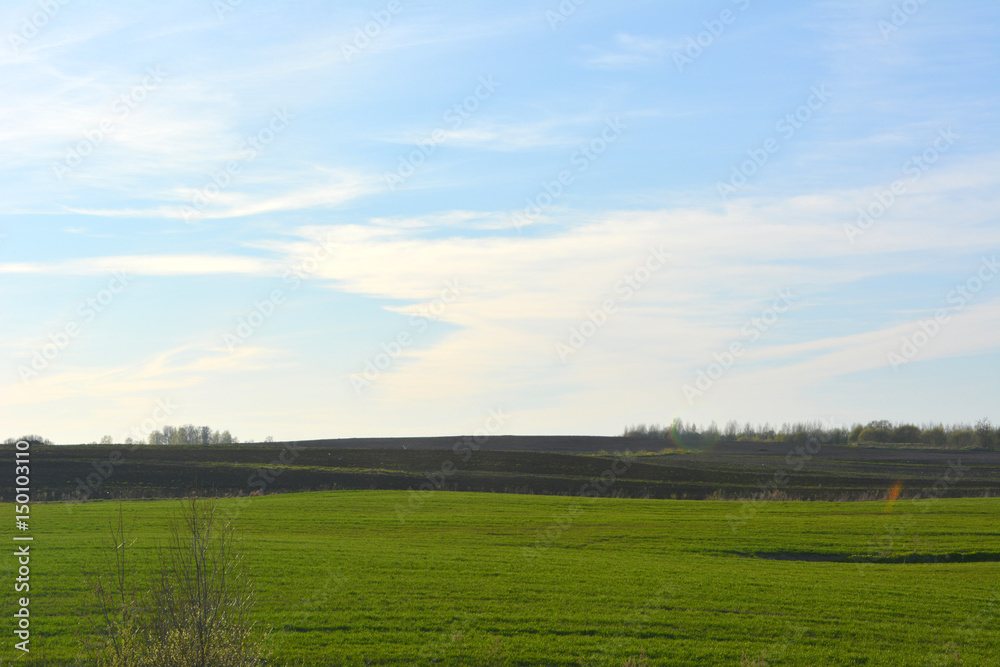 Beautiful spring horizontal landscape: field on blue sky background Beautiful spring horizontal landscape: field on blue sky background