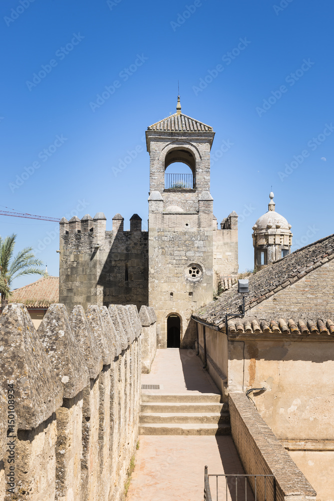 Obraz premium the alcazar in cordoba