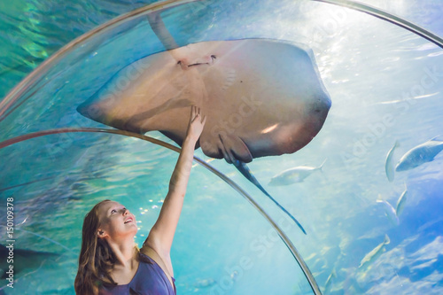 Photography A young woman touches a stingray fish in an oceanarium tunnel