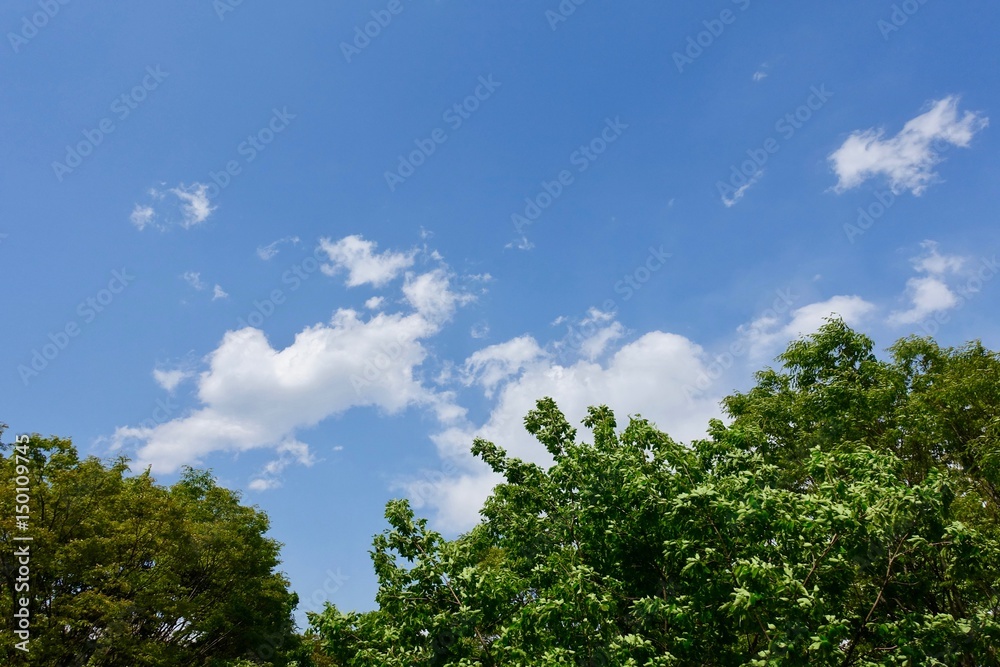 青空 青空