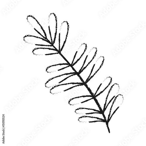 blurred silhouette image branch with ovals leaves vector illustration