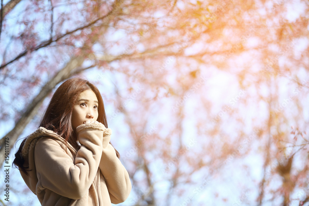 Asian Woman with cherry blossom nature background Asian Woman with cherry blossom nature background