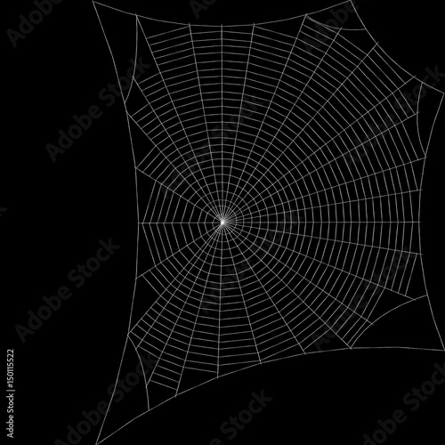 Spiderweb. Isolated on blac...