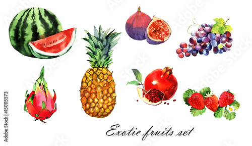 watercolor exotic fruits set  pineapple  pomegranate  watermelon  dragon eye