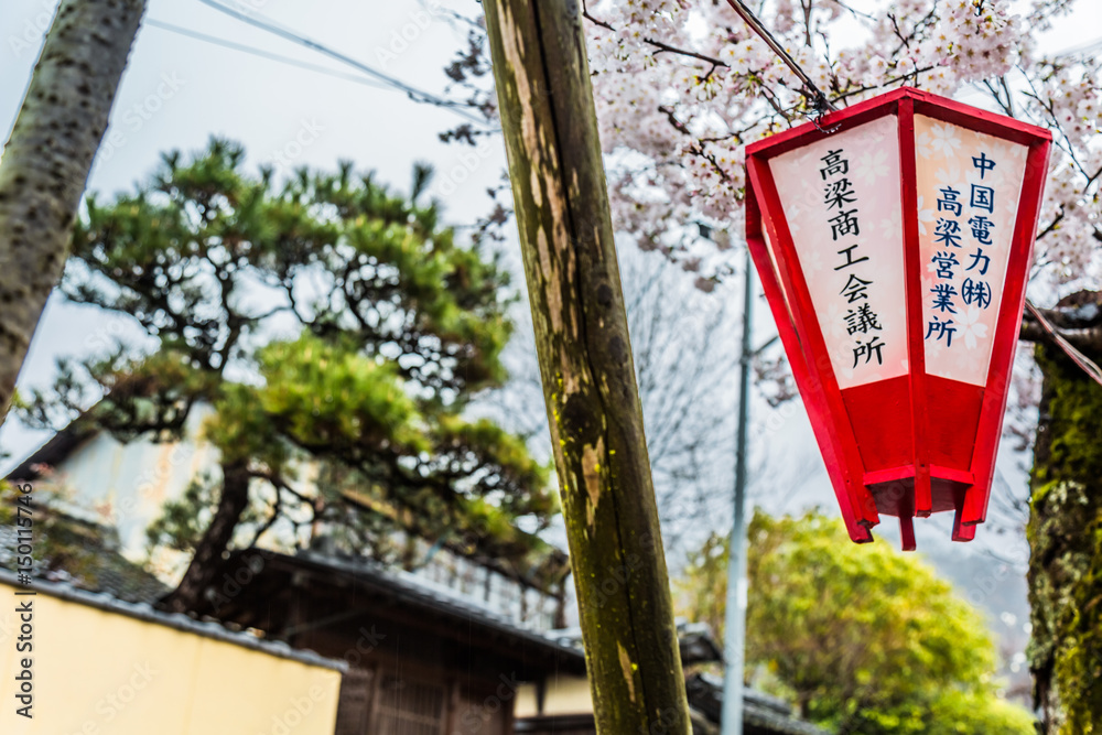 Obraz premium A Japanese lantern and a beautiful sakura blossom a tree.