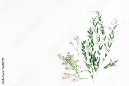 Flowers composition. Pink flowers and eucalyptus branches on white background. Flat lay, top view