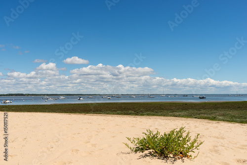 BASSIN D'ARCACHON