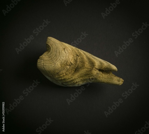 dry stick, stick against a dark background, wood, dark background, old tree, background, piece of wood, сухя piece of wood