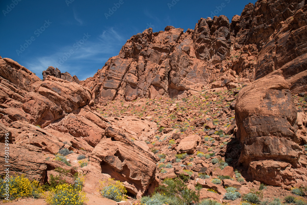 Fototapeta premium Valley of Fire