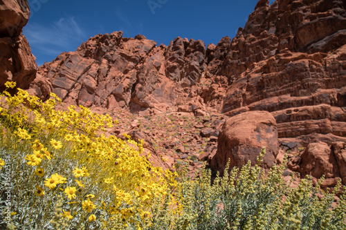 Photography Valley of Fire