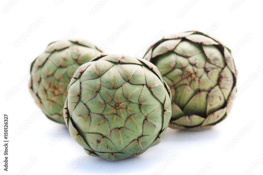 Fototapeta premium Artichaut