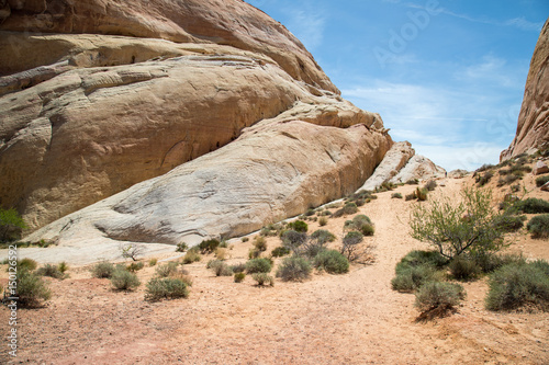 Canvas Print Valley of Fire