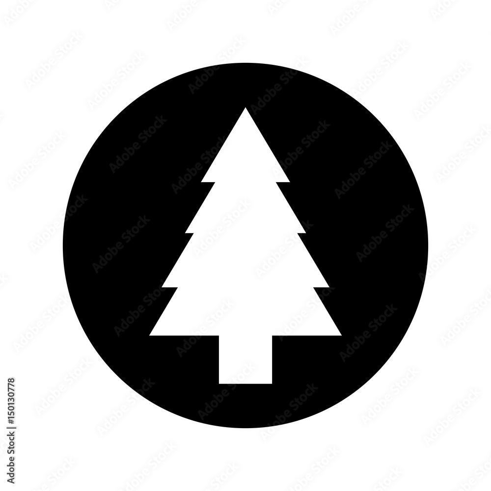 pine tree isolated icon vector illustration design pine tree isolated icon vector illustration design