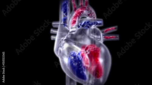 The heart is responsible for pumping blood around the body. http://www.polymime.com photo