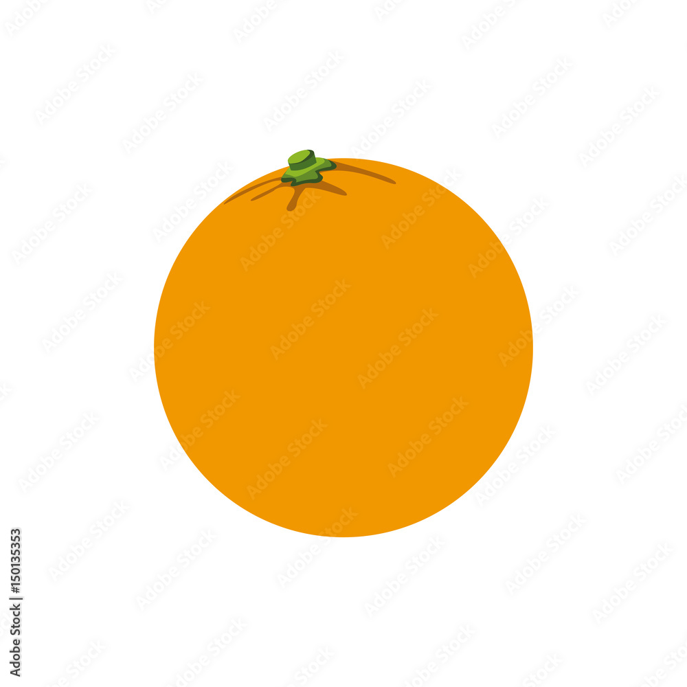 orange fruit tropical food image vector illustration