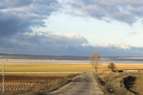 Carretera rodeada de campos dorados en  la Reserva Natural de la Laguna de Gallocanta.