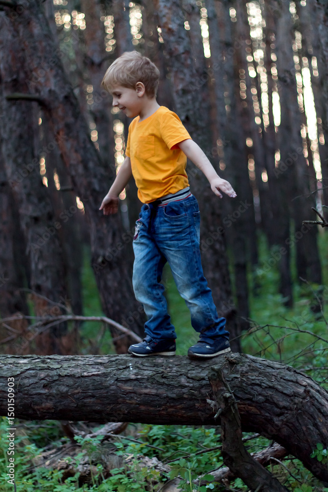 the boy on the tree the boy on the tree