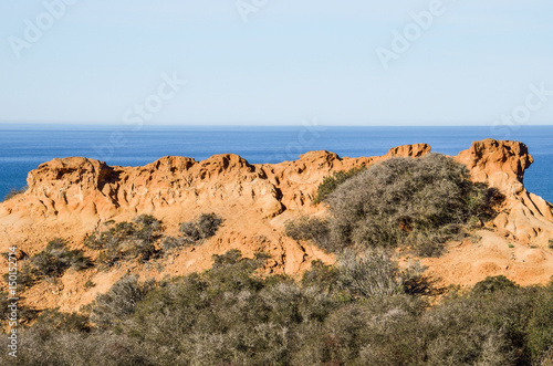 Torrey Pines cliff in pacific ocean in San Diego California with trail